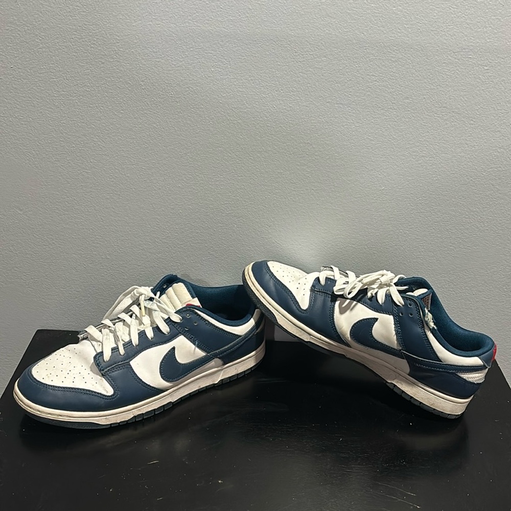 Nike Dunk Low Valerian Blue